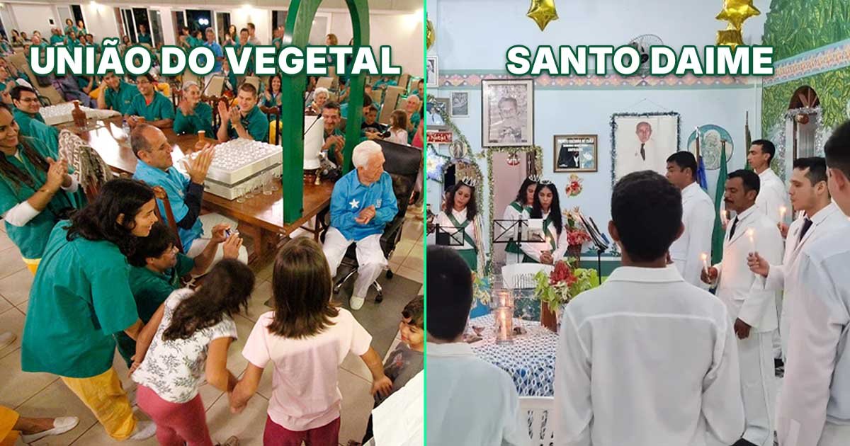 Entenda as semelhanças entre o Santo Daime e União do Vegetal, as doutrinas religiosas que legitimaram a Ayahuasca.