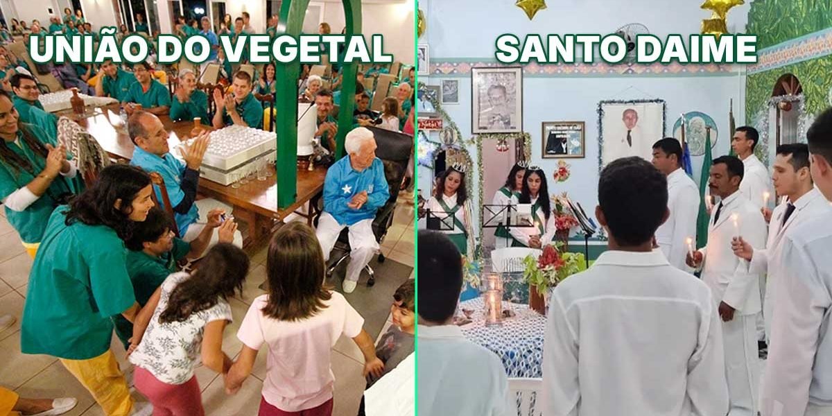 Entenda as semelhanças entre o Santo Daime e União do Vegetal, as doutrinas religiosas que legitimaram a Ayahuasca.