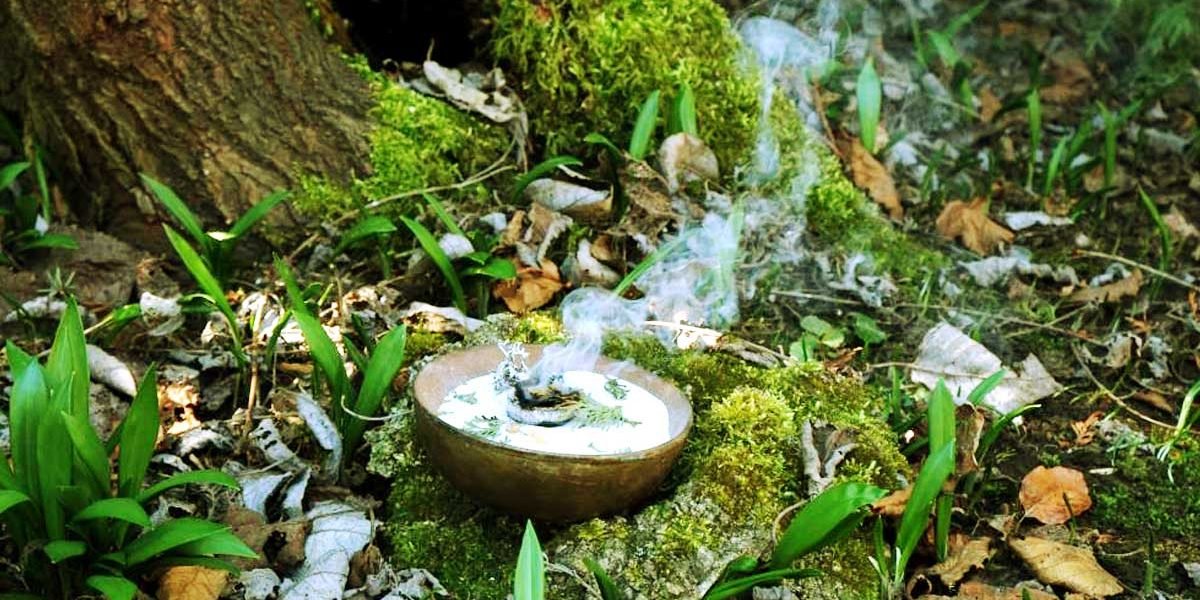Uma tigela com ervas no meio da mata representa as medicinas da floresta e a cultura indígena, como ayahuasca, rapé, jurema, sananga e kambô.
